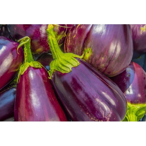Melanzane